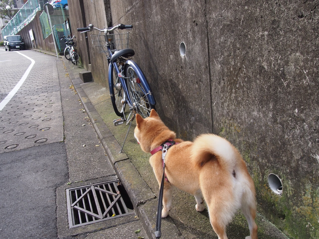 开云平台-今年NBA场均助攻和篮板排名前五名都有哪些？，nba场均助攻数