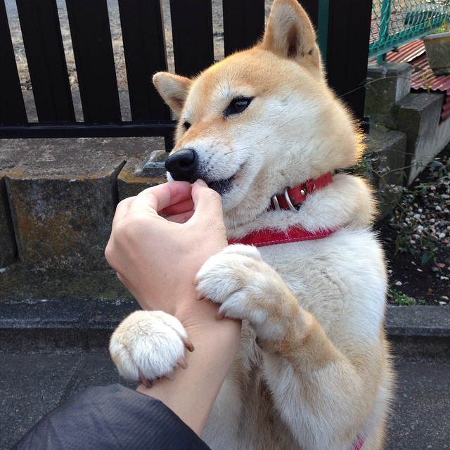 改革新思路:打破传统,创新中国足球,中国足球改革的相关问题