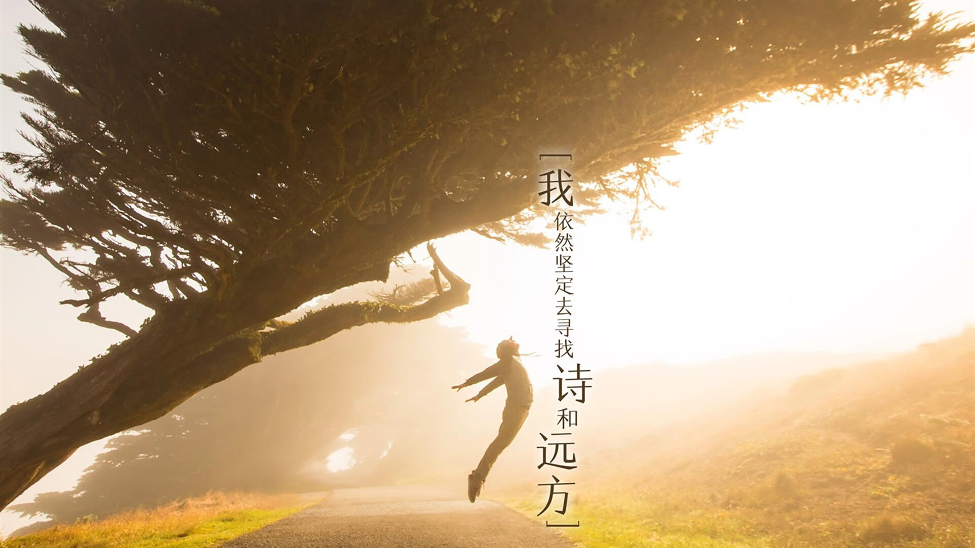 步行者球员自资创办青年训练营,支持家乡青训,步行者训练馆