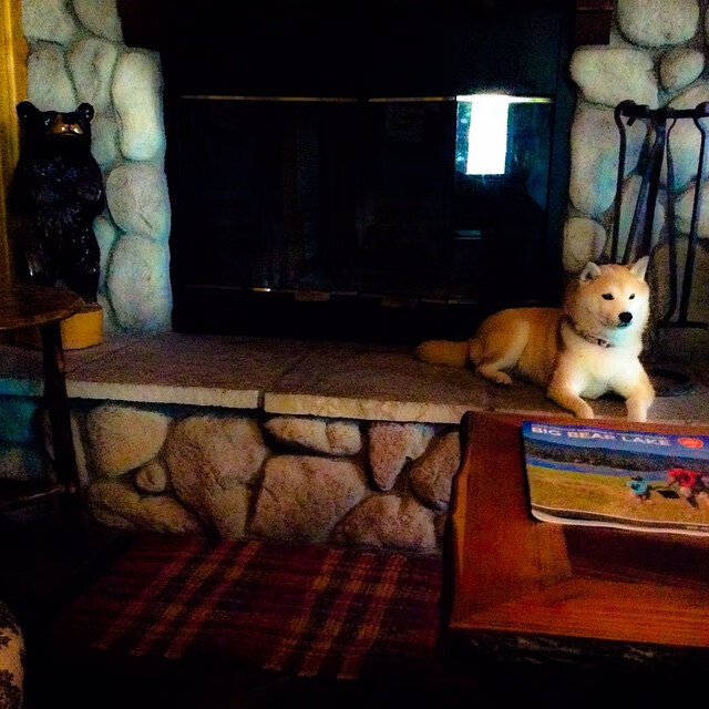 开云官网-新晋主力球员涌现，北京球队成功晋级，北京队球员最新名单