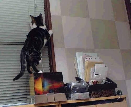 kaiyun登录入口-格鲁吉亚战平希腊，实力对比或成为预测焦点，格鲁吉亚vs希腊