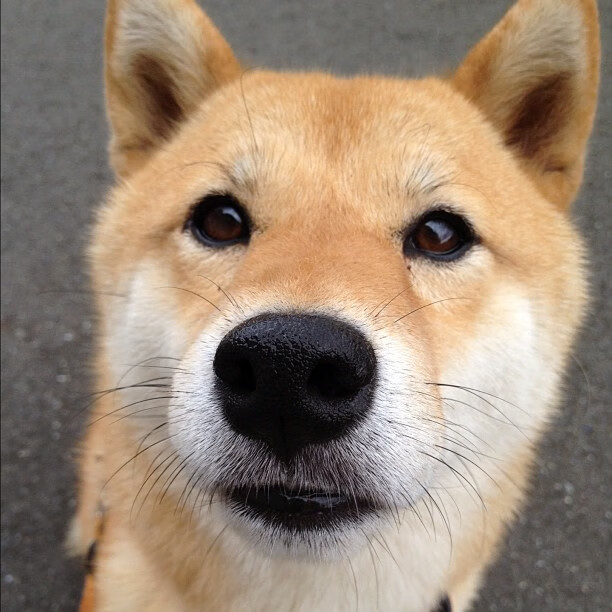 开云中国大陆-法国男篮在奥运热身赛中表现稳定，法国男篮奥运冠军