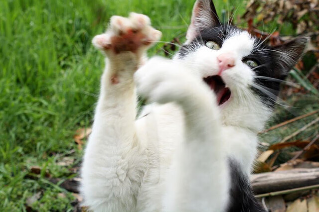 皇马主场2-0战胜格拉纳达,继续领跑西甲积分榜,皇马西甲比赛