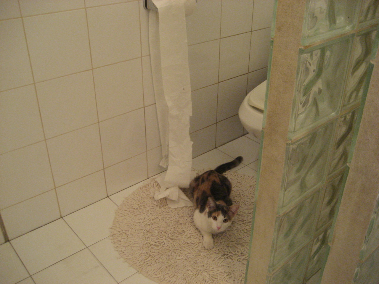 精彩瞬间:球员技术展示无限魅力,球员kj