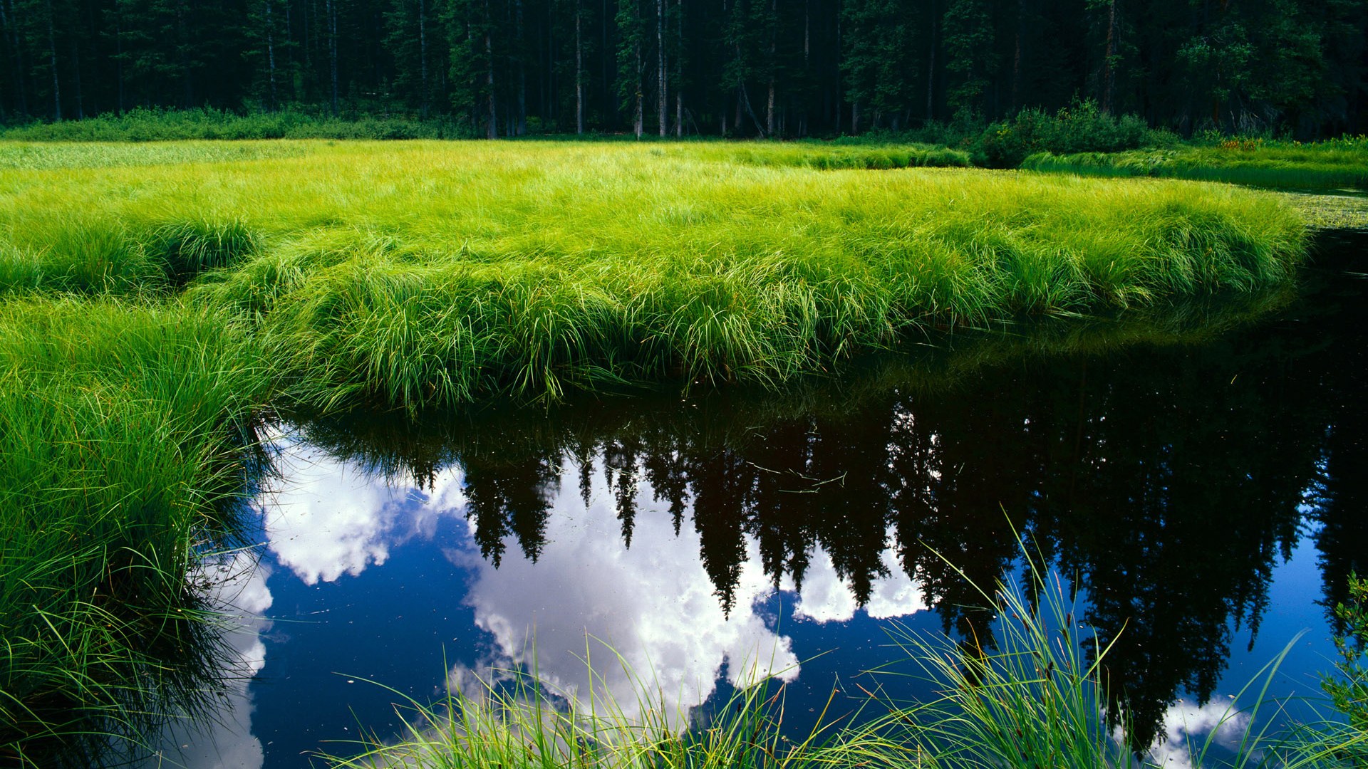 kaiyun中国官方网站-中国篮球运动员赛季训练计划的科学制定，中国篮球运动员赛季训练计划的科学制定者是