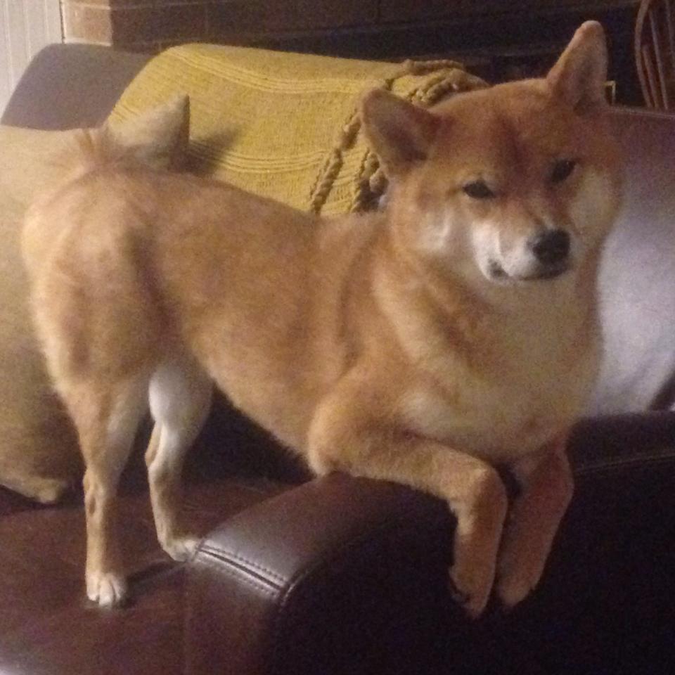 中国足球运动员比赛心态管理策略,足球运动员比赛心理分析