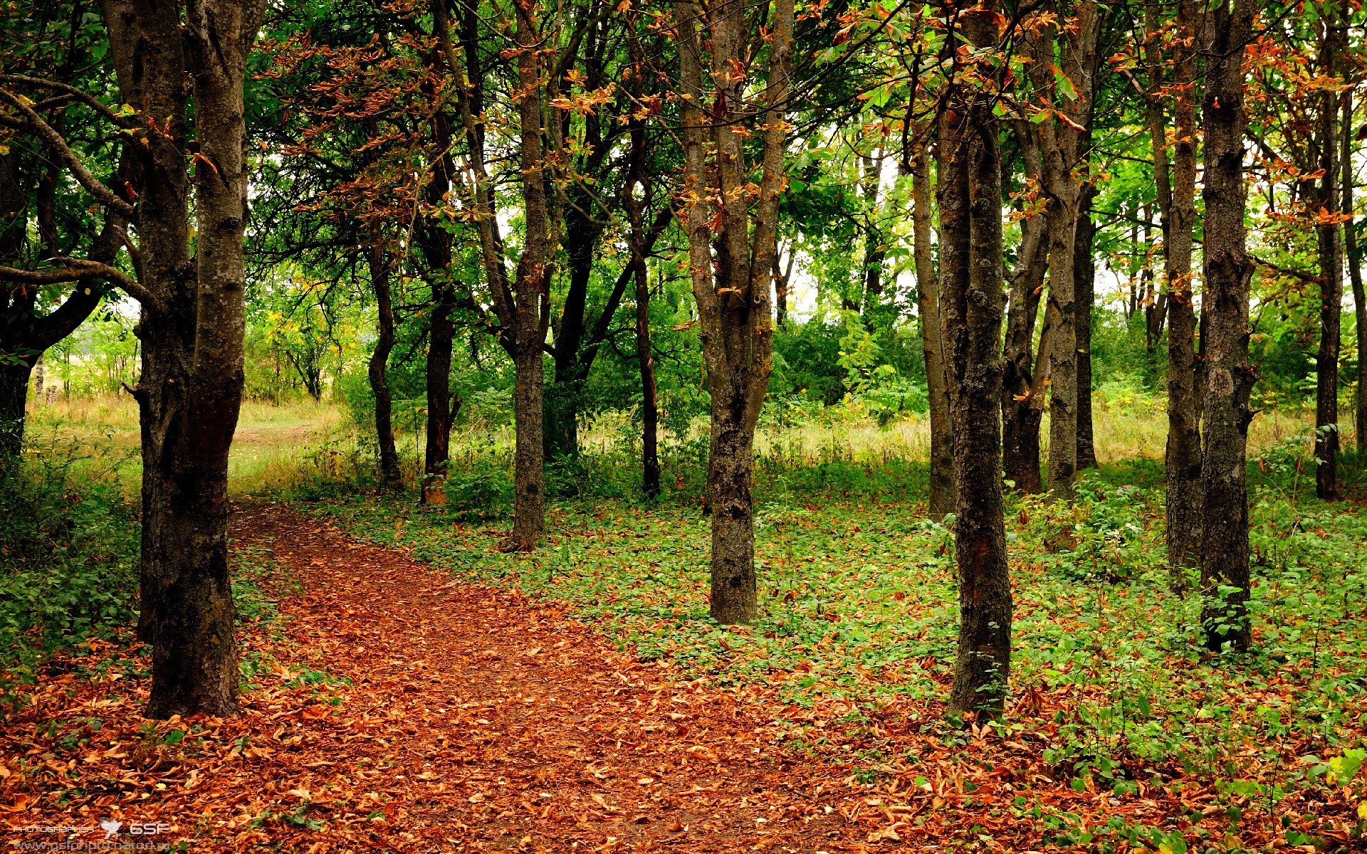 Kaiyun官方登录入口-西甲球队热区分析优化防守站位和协防策略，西甲球队vll