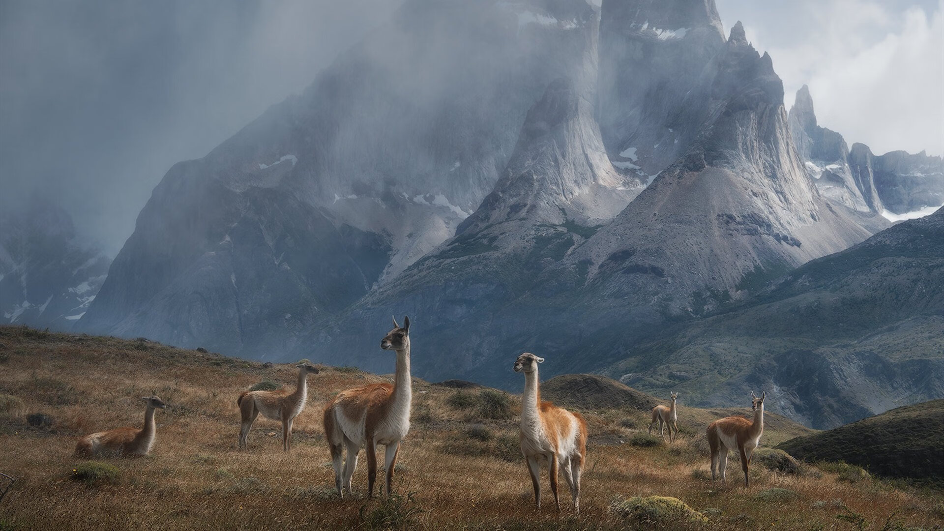 Chinese Taipei团队未来发展:从青训到职业赛场的全面布局,chinese台北是什么意思