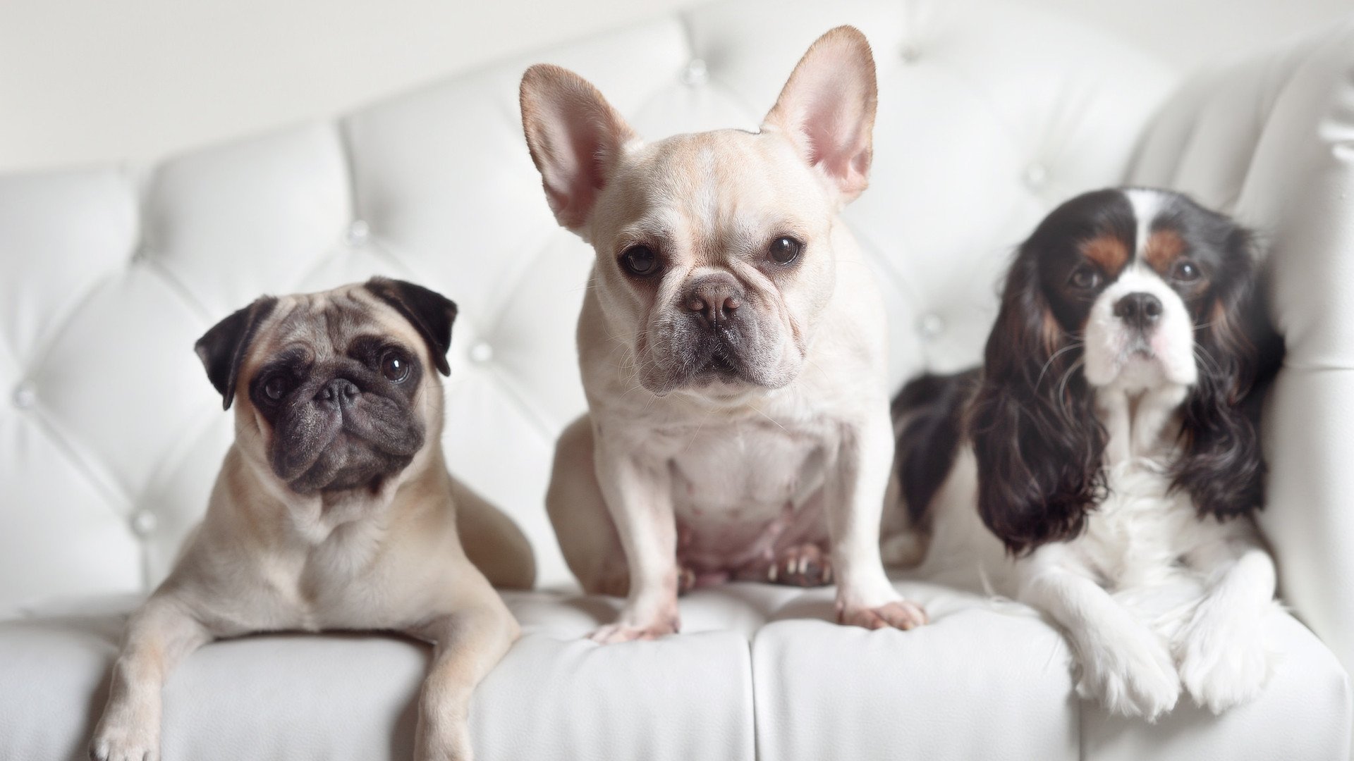 体育新闻中心发布体育社群运营策略研究成果,体育社团公众号