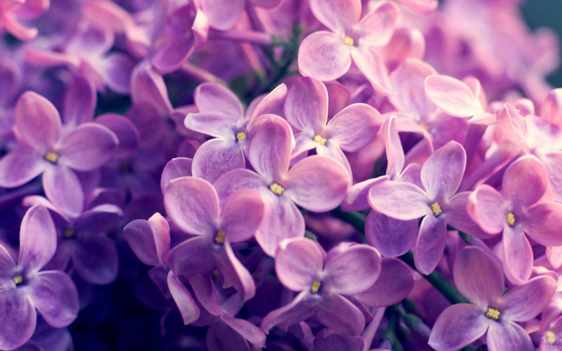 青少年足球赛事缺乏专业组织,青少年足球赛事缺乏专业组织知识