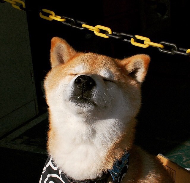 开云·体育官网APP下载-“安赫尔·巴尔博萨的精准传球与快攻配合，成为阿根廷美洲狮队的关键战术执行者”