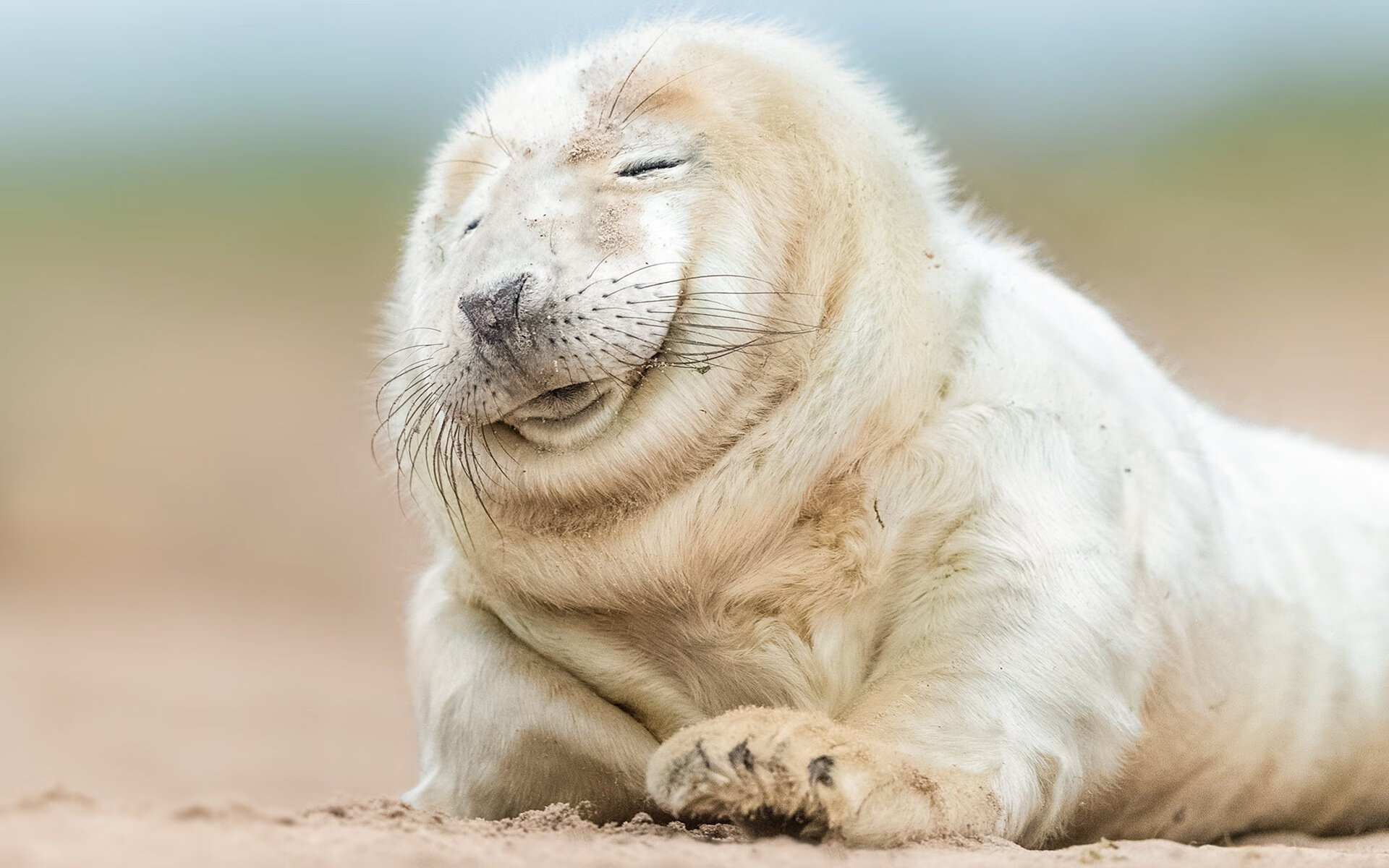 乌干达女篮在非洲锦标赛中持续突破,体育事业源源不断向前推进