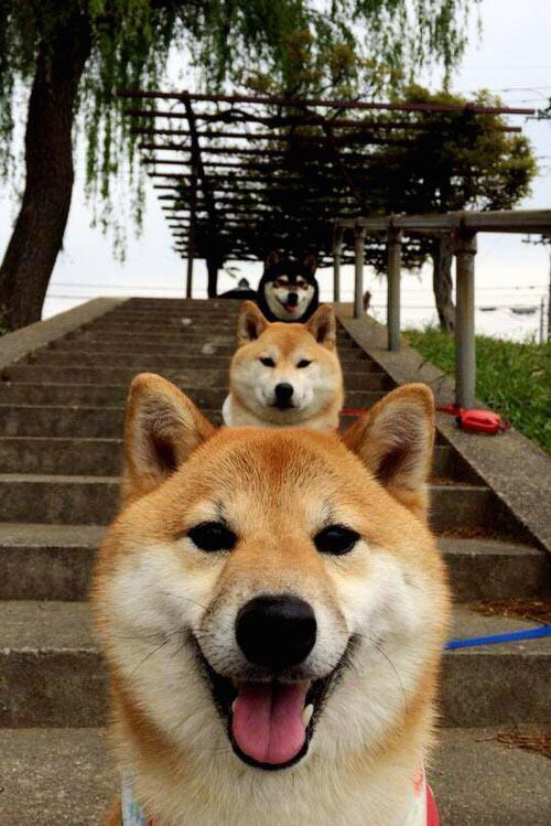 凯尔特人训练后媒体与球员小型见面会,凯尔特人近况