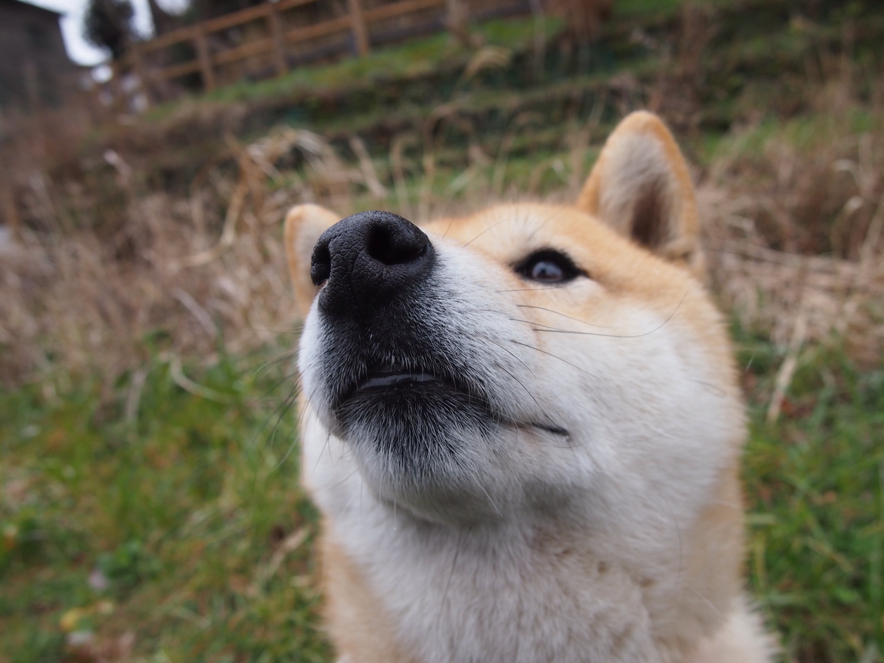 骑士队长生日聚会全队出席场面温馨,骑士队出场仪式